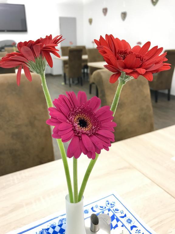 科里奥慕尼黑市酒店 外观 照片